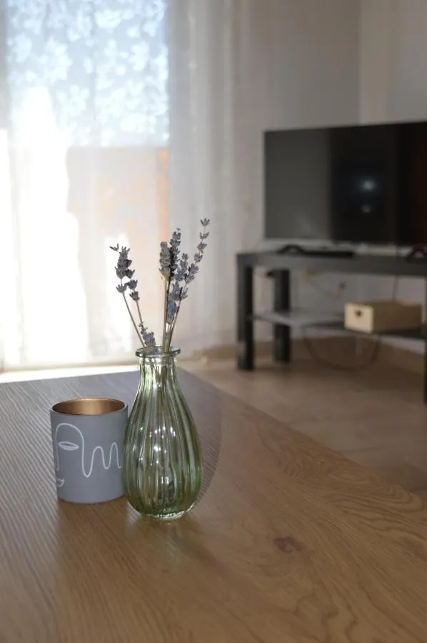 Central Apartments Preko Croatia
